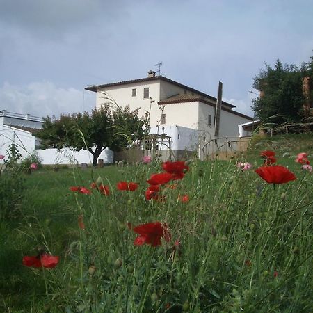 Mas Cabrit Guest House Les Franqueses del Vallès Exterior foto