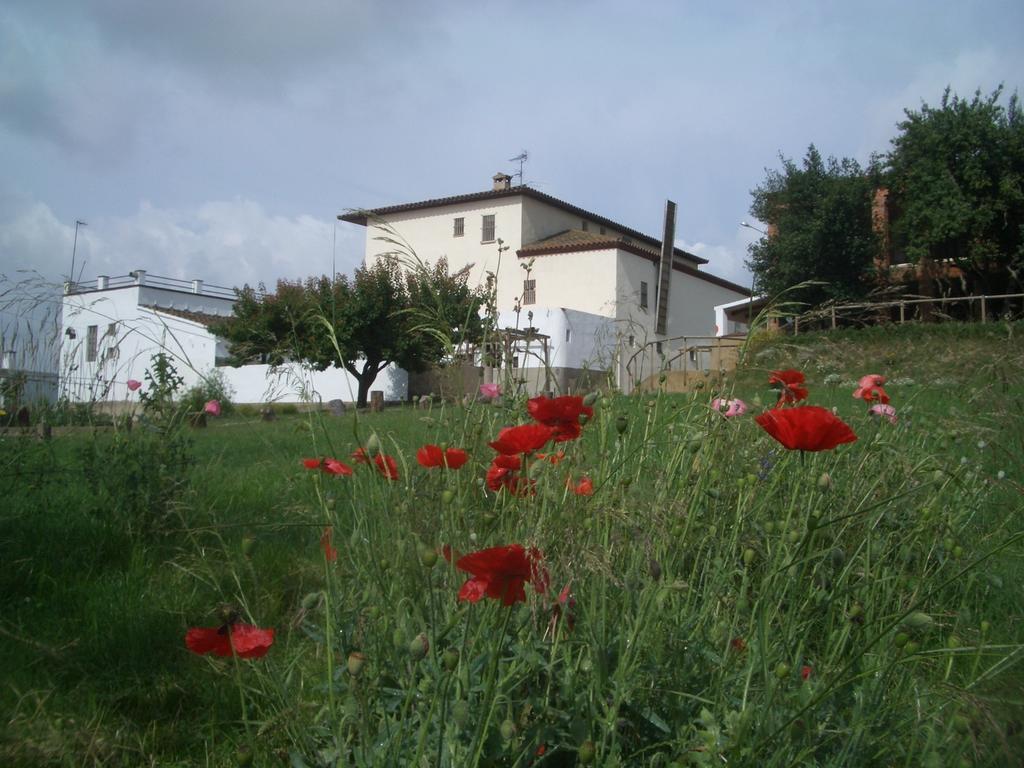 Mas Cabrit Guest House Les Franqueses del Vallès Exterior foto